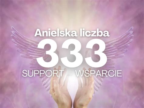 tmt.333.com|co oznacza 333.